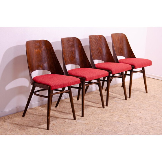 Image 1 of Set of 4 vintage bentwood dining chairs by Radomír Hofman for Ton, Czechoslovakia 1960