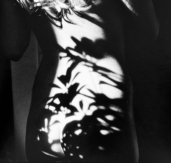 Image 1 of Michel Pinel 1949-2022 Sublime Artistic Nude Photo "Flowered Back" From 2008