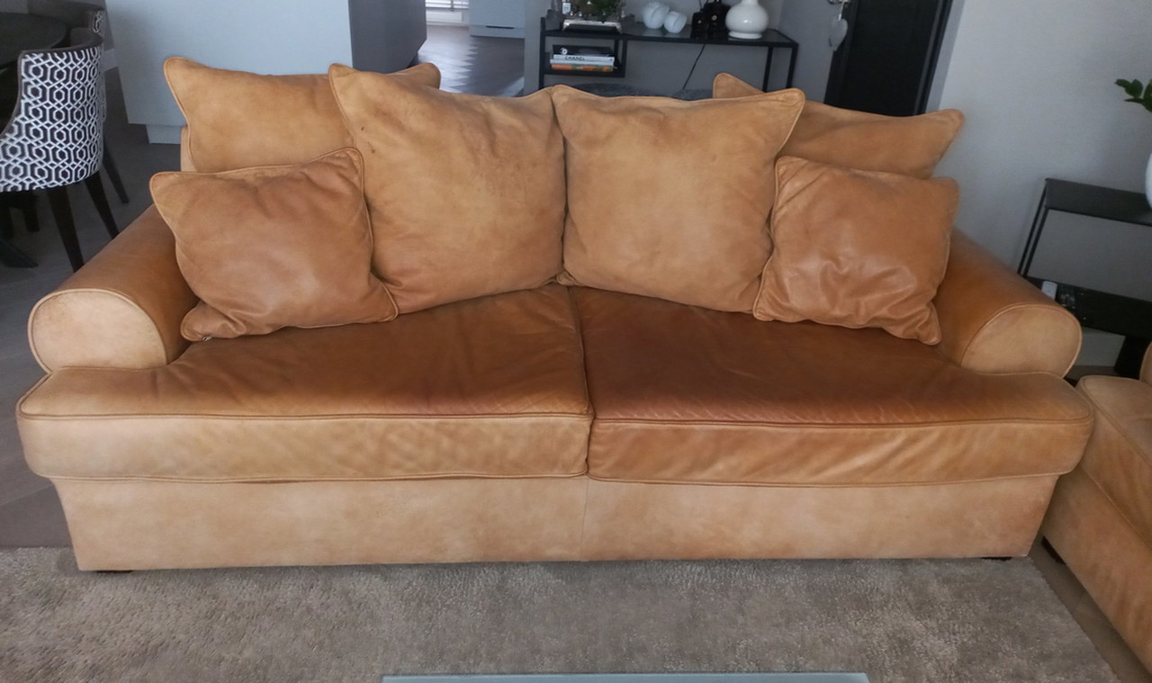 Sofá de cuero para el hogar Rofra