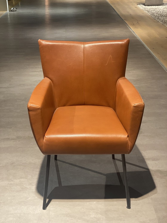 Image 1 of 6 X Design On Stock Moka Dining Chair