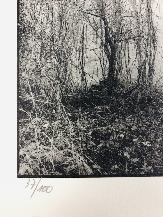 Image 1 of Ralph Janowski - Photo print