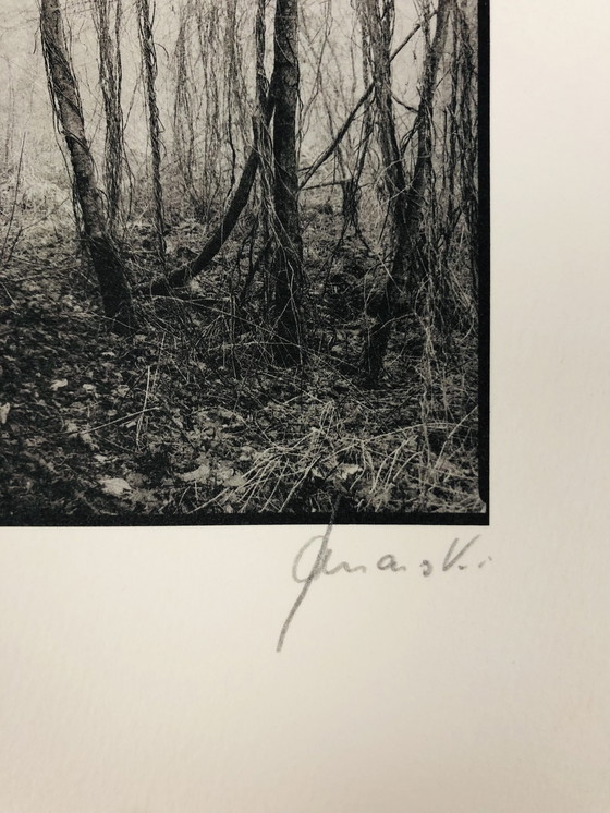 Image 1 of Ralph Janowski - Photo print