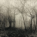 Ralph Janowski - Photo print