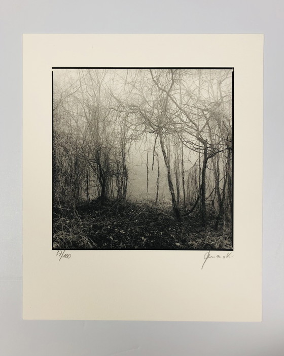 Image 1 of Ralph Janowski - Photo print