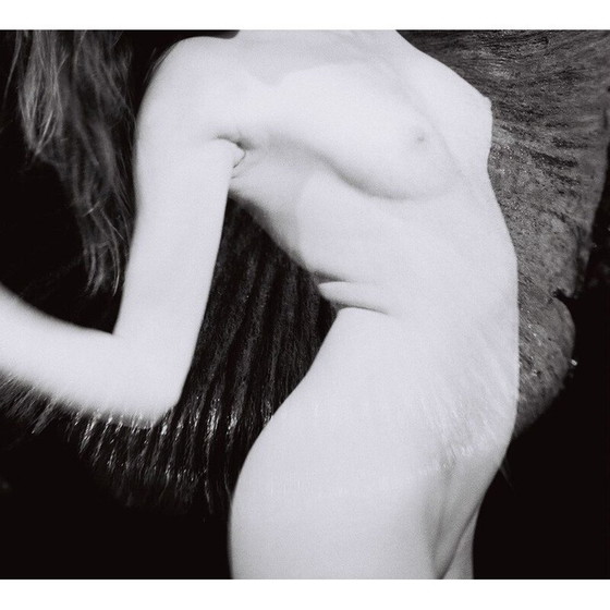 Image 1 of Dipinto d'epoca Natural Movements 15 di Meïdhy Bichon, 2019