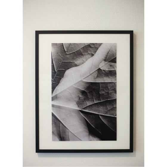 Image 1 of Dipinto d'epoca Natural Movements 11 di Meïdhy Bichon, 2019