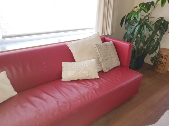 Image 1 of Sur&Plus sofa leather