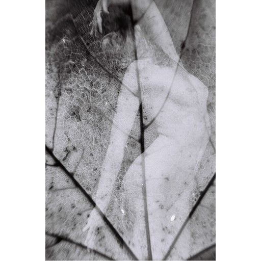 Cuadro vintage Movimientos Naturales 10 de Meïdhy Bichon, 2019