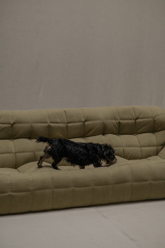 Image 1 of Kashima Sofa By Michel Ducaroy For Ligne Roset