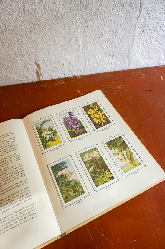 Image 1 of 2x Art Nouveau nature books, Summer and Winter