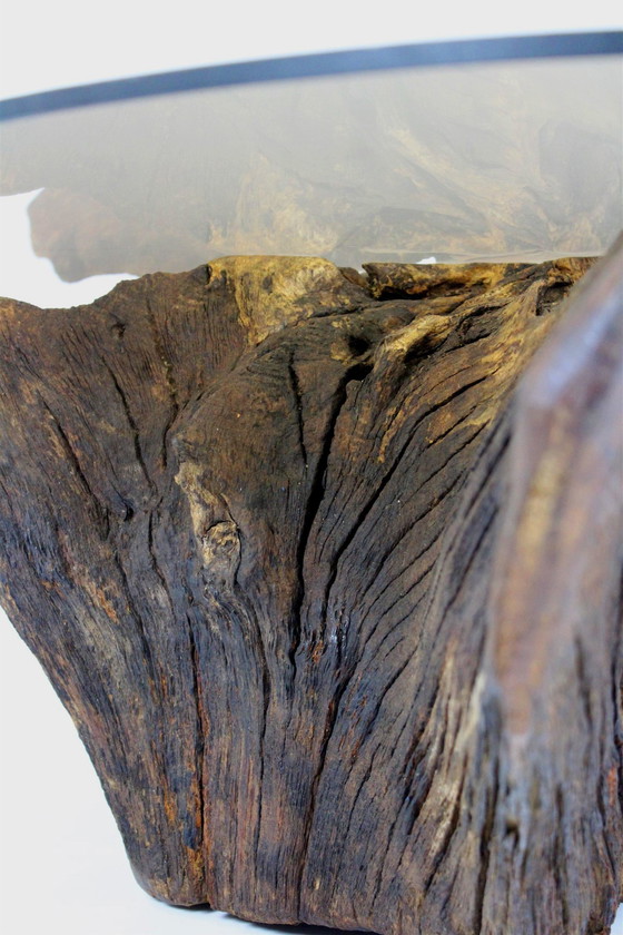 Image 1 of Mid-Century Tree Root Coffee Table With Glass Top, 1960S