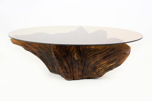 Mid-Century Tree Root Coffee Table With Glass Top, 1960S