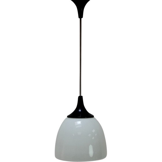 Image 1 of Vintage glass and metal pendant lamp for Napako, Czechoslovakia 1960