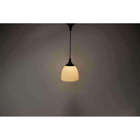Image 1 of Vintage glass and metal pendant lamp for Napako, Czechoslovakia 1960