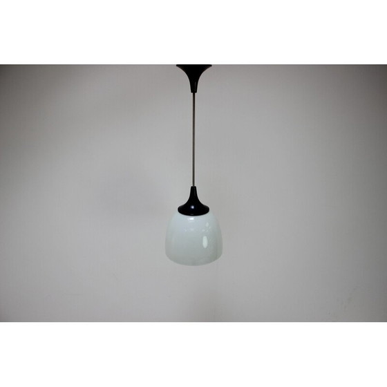 Image 1 of Vintage glass and metal pendant lamp for Napako, Czechoslovakia 1960