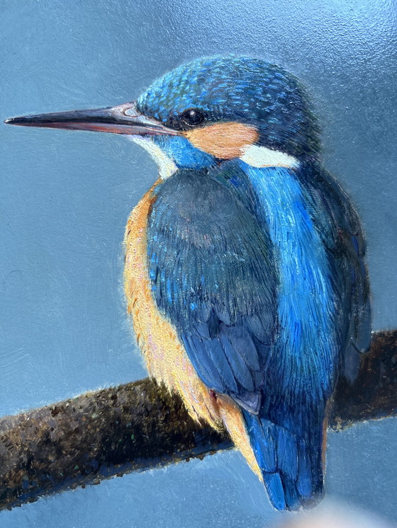 Image 1 of W van Soest - Kingfisher