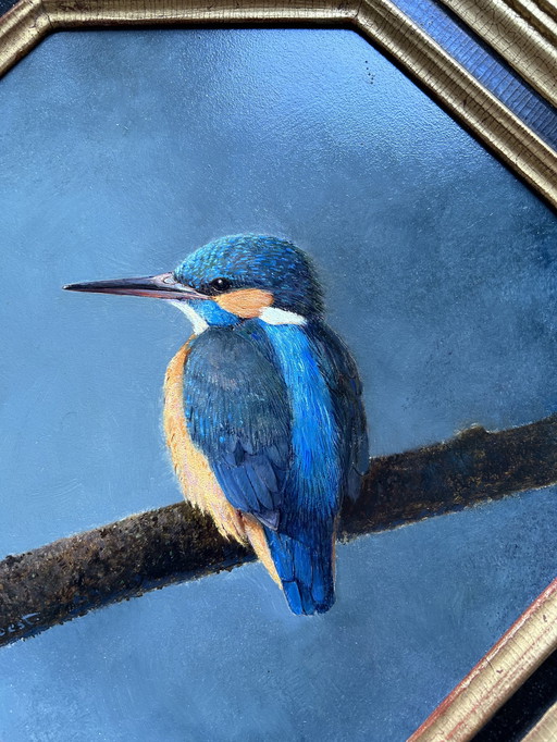 W van Soest - Kingfisher