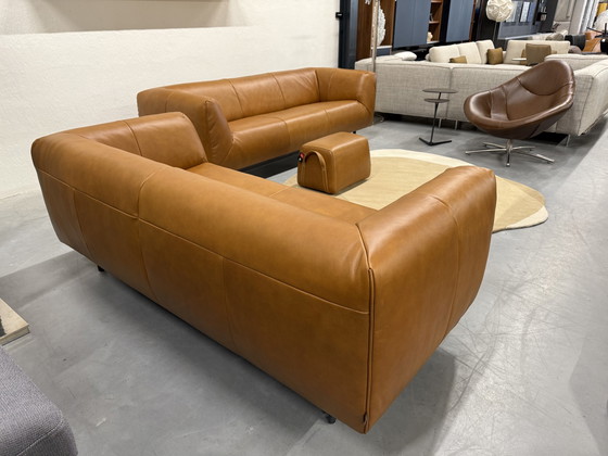 Image 1 of Label Vandenberg Moby Dick 3 Seater Sofa Bovino Natural