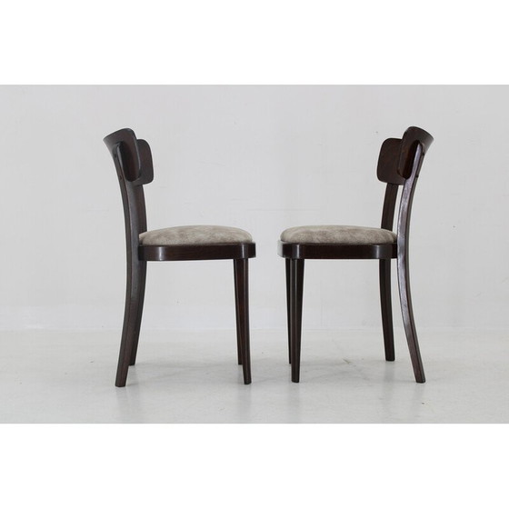 Image 1 of Set of 4 vintage wooden chairs Thonet by Michael Thonet, Czechoslovakia 1950s