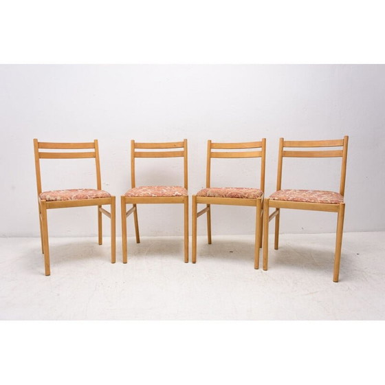 Image 1 of Set di 4 sedie da pranzo in faggio della metà del secolo scorso, Cecoslovacchia, anni '60