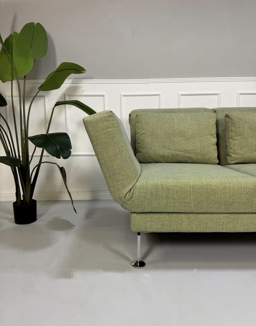 Brühl Moule Small Sofa Green Sofa Bed Designer Exhibition Piece