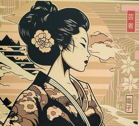 Image 1 of Tushikuni Japon ombres " Electro Geisha D"