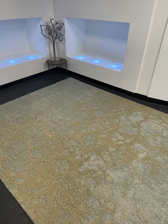 Image 1 of Desso Precious Moments Carpet 2 X 3 New