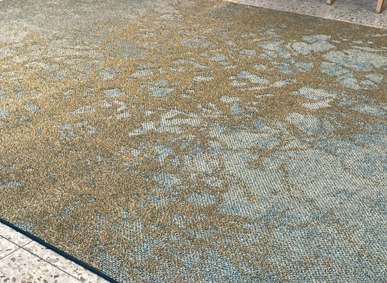 Image 1 of Desso Precious Moments Carpet 2 X 3 New