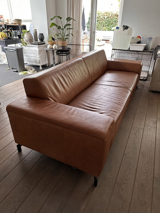 Montel sofa leather