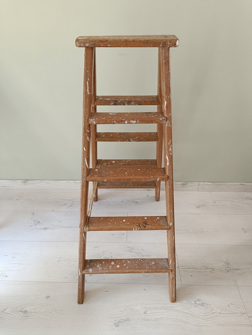 Painter's Step Ladder