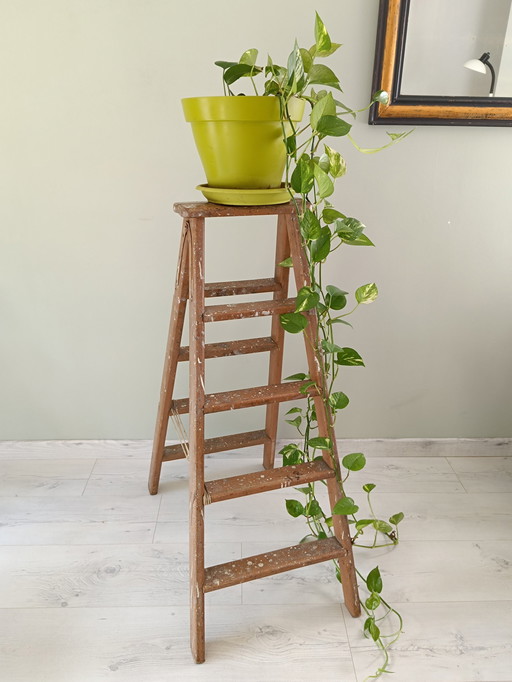 Painter's Step Ladder