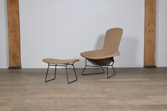 Image 1 of Early Edition Bird Chair With Ottoman By Harry Bertoia For Knoll International, Italy 1960s