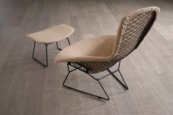 Image 1 of Chaise à oiseaux et ottomane Early Edition par Harry Bertoia pour Knoll International, Italie, années 1960