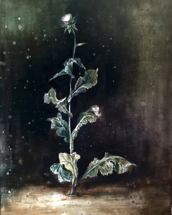 Image 1 of Nanouk Weijnen - Thistle