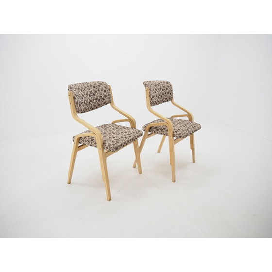 Image 1 of Pair of vintage bentwood chairs by Ludvík Volák and Holešov, Czechoslovakia 1970