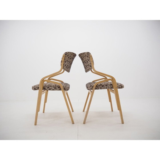 Image 1 of Pair of vintage bentwood chairs by Ludvík Volák and Holešov, Czechoslovakia 1970