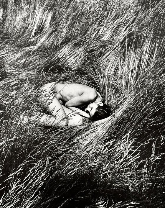 Image 1 of Michel Pinel 1949-2022 Superb Artistic Nude "Fetal Position" From 1985