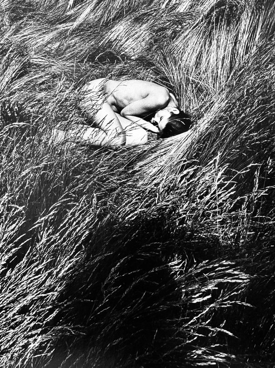 Image 1 of Michel Pinel 1949-2022 Superb Artistic Nude "Fetal Position" From 1985