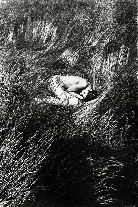 Image 1 of Michel Pinel 1949-2022 Superb Artistic Nude "Fetal Position" From 1985