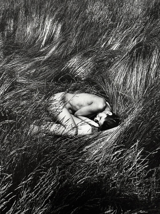 Image 1 of Michel Pinel 1949-2022 Superb Artistic Nude "Fetal Position" From 1985