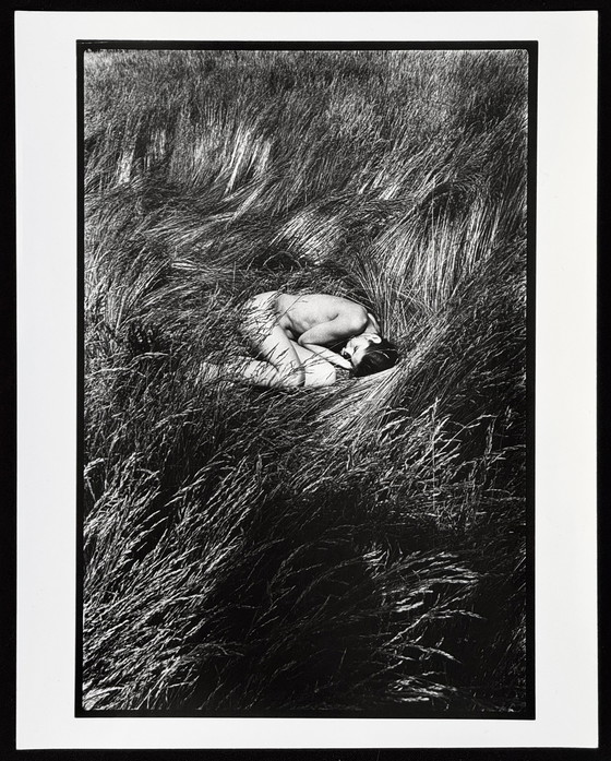 Image 1 of Michel Pinel 1949-2022 Superb Artistic Nude "Fetal Position" From 1985