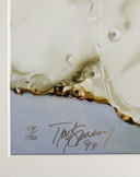 Tjalf Sparnaay - Uovo - Litografia offset