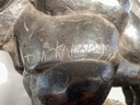 Theo Mackaay, Amerikaanse Bison