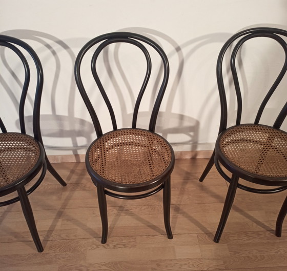 Image 1 of Dining Chairs In Curved Beech In The Style Of Thonet, Italy, Set Of 4