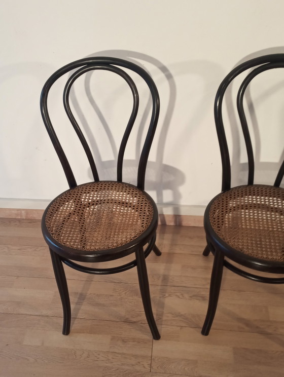 Image 1 of Dining Chairs In Curved Beech In The Style Of Thonet, Italy, Set Of 4