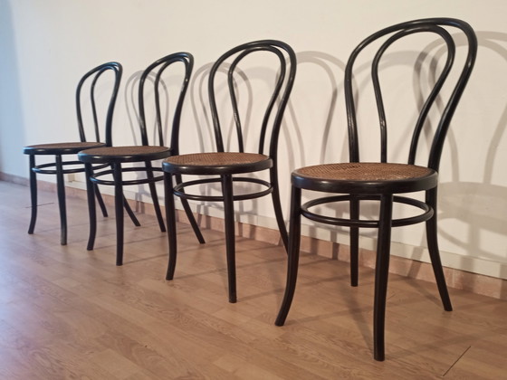 Image 1 of Dining Chairs In Curved Beech In The Style Of Thonet, Italy, Set Of 4