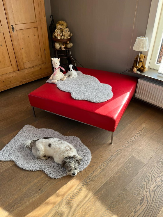 Image 1 of Moroso corner sofa