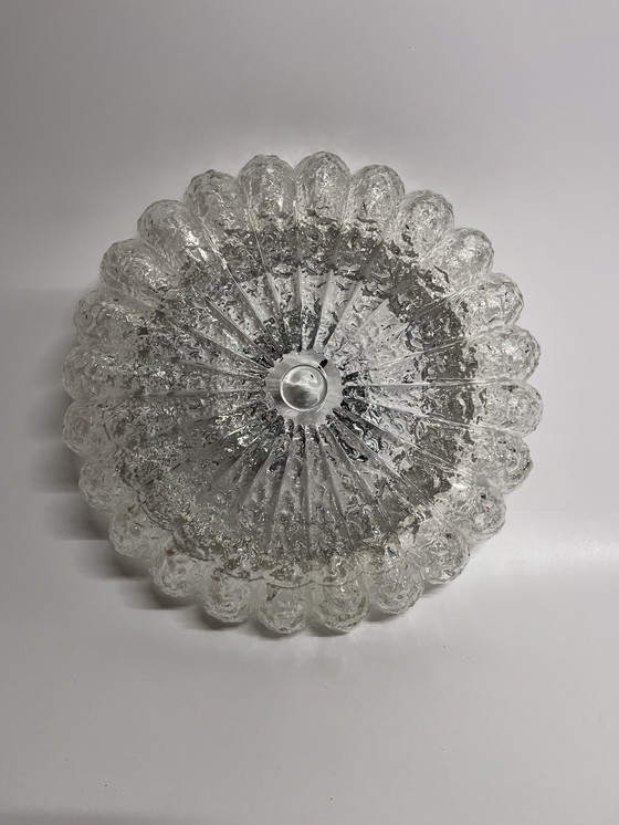 Image 1 of Xxl Clear Glass Mid - Century Ceiling Light 'Flower' Ø 41 Cm