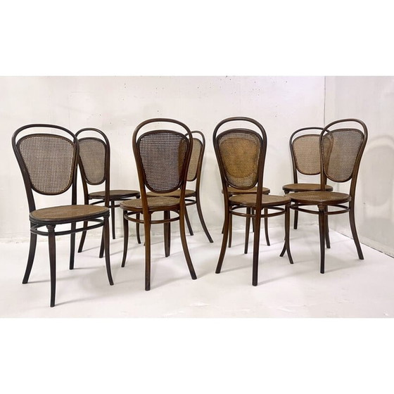 Image 1 of Set di 8 sedie vintage in legno curvato di Thonet, Austria, anni '30