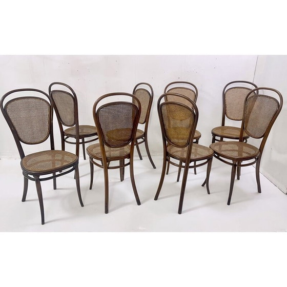 Image 1 of Set di 8 sedie vintage in legno curvato di Thonet, Austria, anni '30